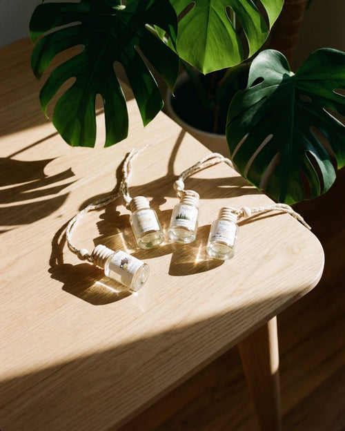 Best Sellers Bundle - Our Top 4 Most-Loved Scents