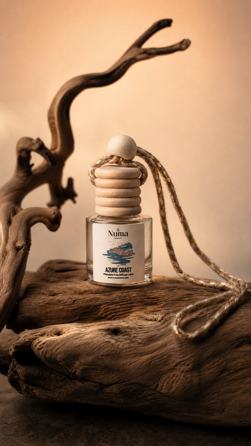 oil hanging car diffuser Coast scent