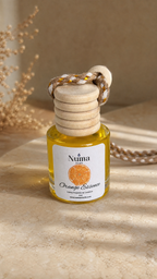Orange Essence Car Diffuser (Essential Oil + Base Only)