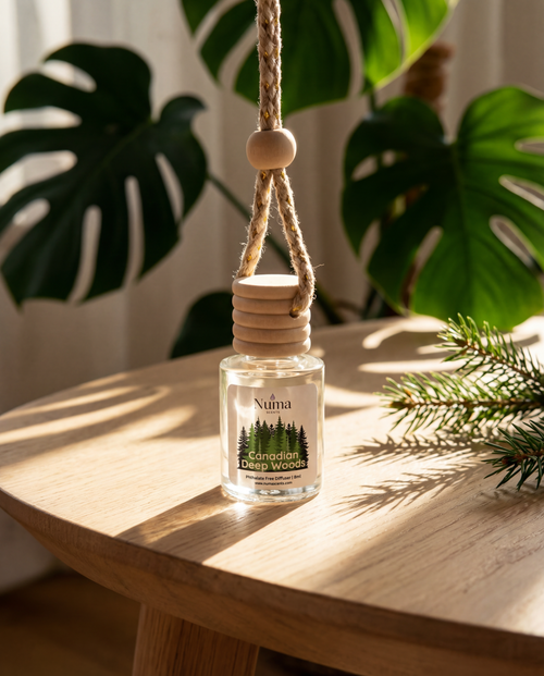 Car diffuser with wooden cap named Canadian Deep Woods and Numa Scents label on a wooden surface with plants in the background