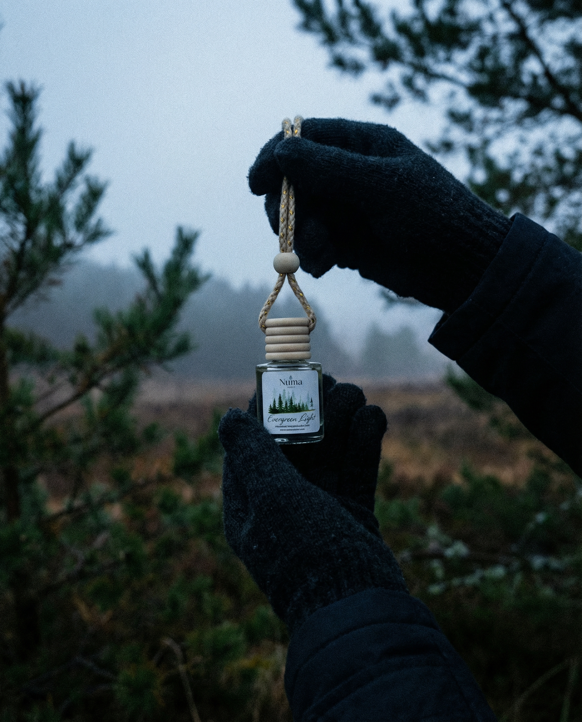 Hanging diffuser evergreen scent 