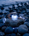 Sea & Stone (NEW)