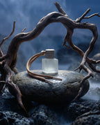 Sea & Stone (NEW)