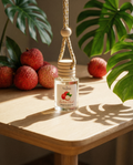 Lychee Blush NumaScent Natural Hanging Car Diffuser Air/Freshener - Car, Closet, Room Numa Scents