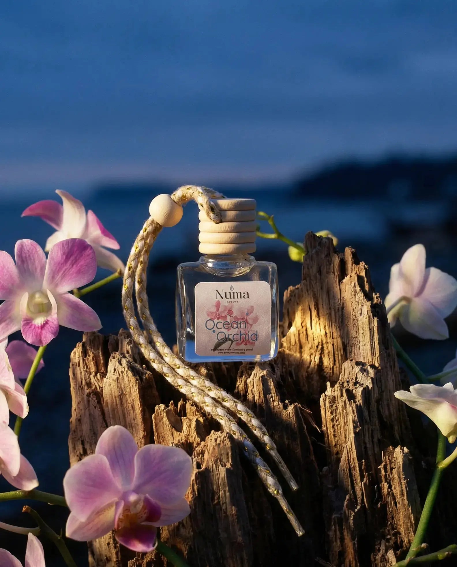 car diffuser bottle with floral design on a wooden stump against a blurred natural background